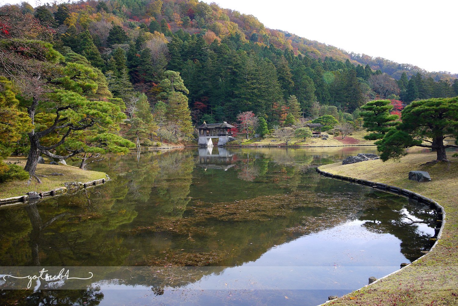 🏯 슈가쿠인 이궁 (슈가쿠인리큐) 이미지 6